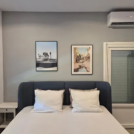 Anesi & * 乐托卡亚